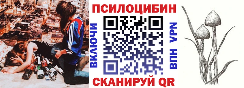 Псилоцибиновые грибы прущие грибы  Ессентуки 